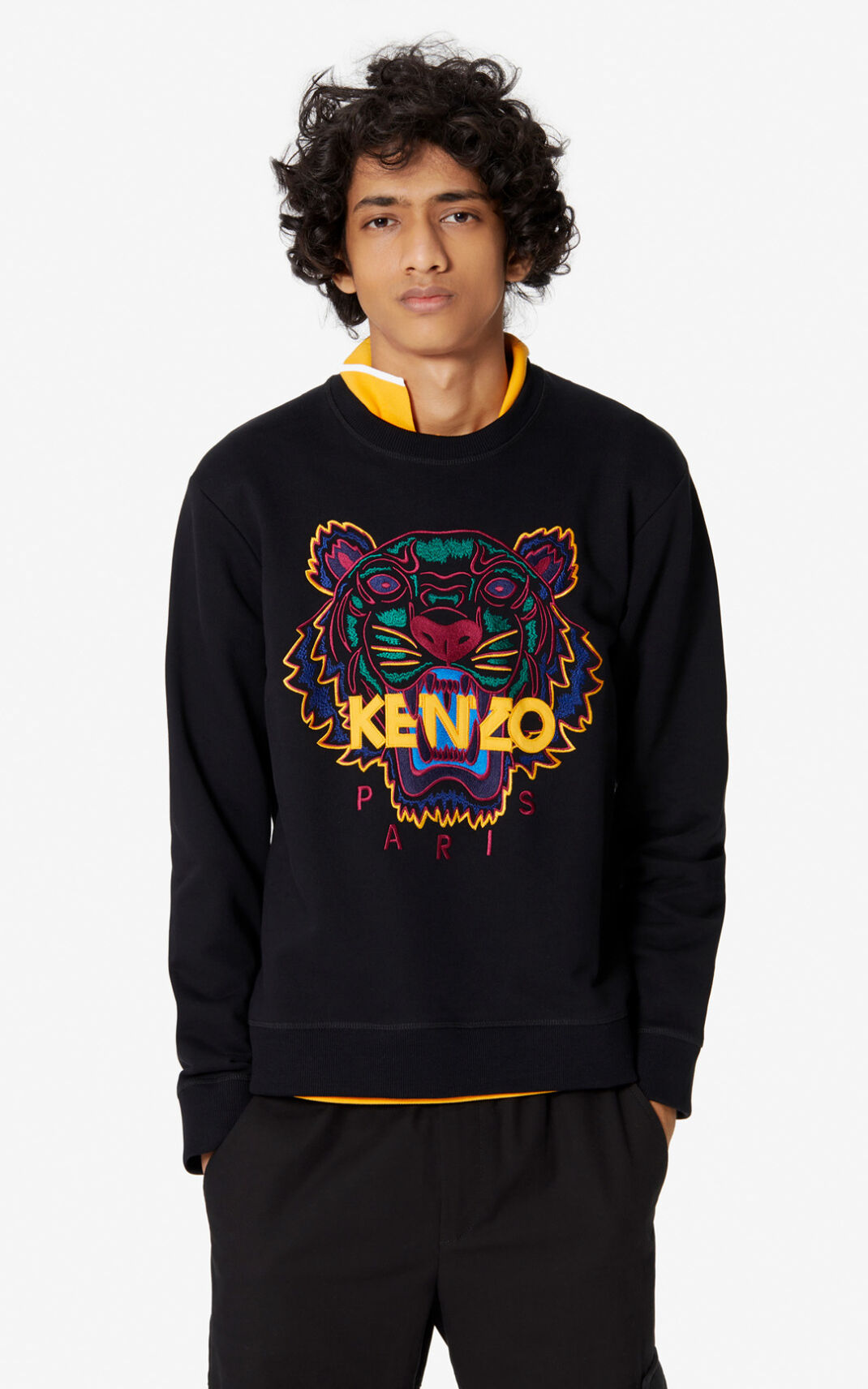 Kenzo Tiger Sweatshirt Erkek Siyah | 6584-CDQIX